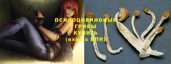 трава Каменногорск