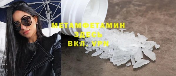 гидра Каменка