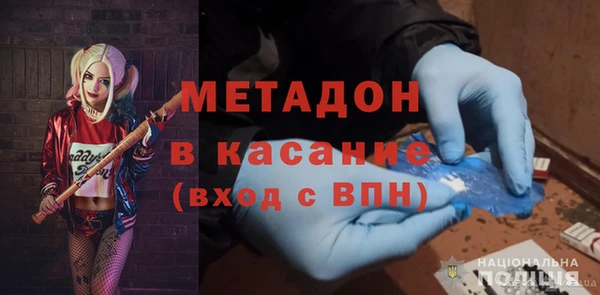 гидра Каменка