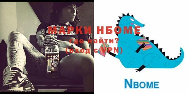 гидра Каменка