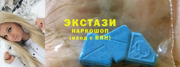 гидра Каменка