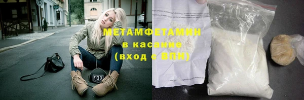 гидра Каменка