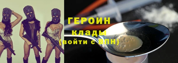 гидра Каменка