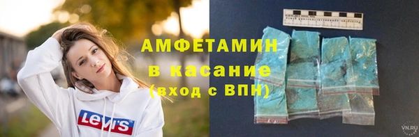 гидра Каменка