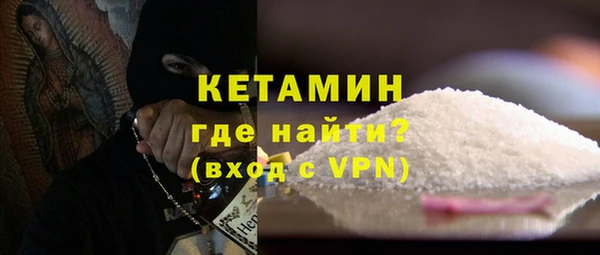 гидра Каменка