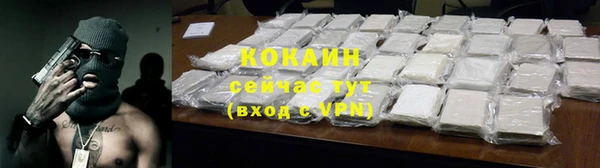 гидра Каменка