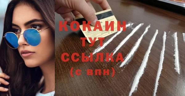 гидра Каменка