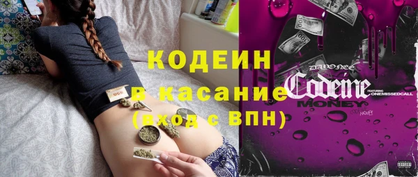 гидра Каменка