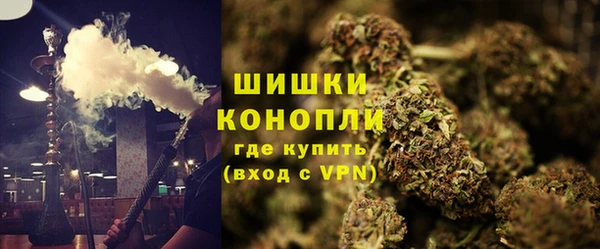 трава Каменногорск