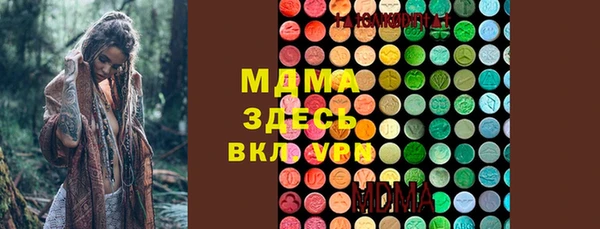 гидра Каменка