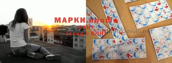 гидра Каменка
