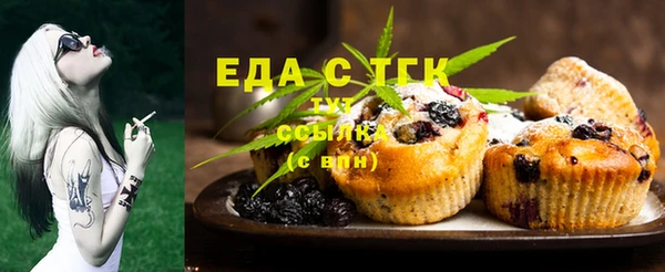 гидра Каменка