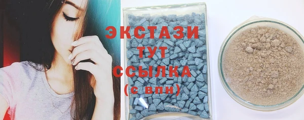 гидра Каменка