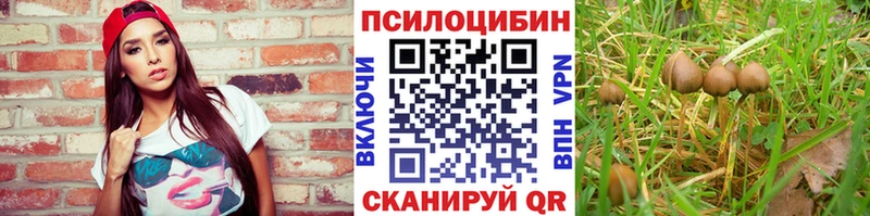 Купить закладки  Донецк  Галлюциногенные грибы мухоморы 