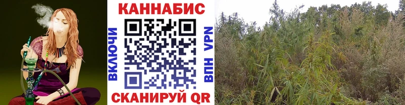 Купить где  Донецк  Бошки Шишки VHQ 